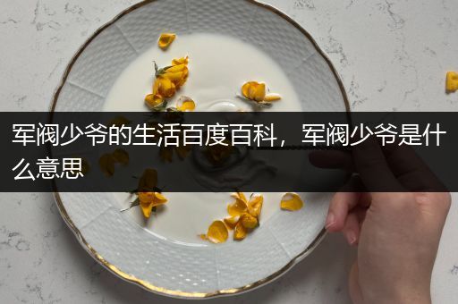 军阀少爷的生活百度百科，军阀少爷是什么意思