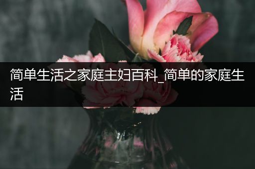 简单生活之家庭主妇百科_简单的家庭生活