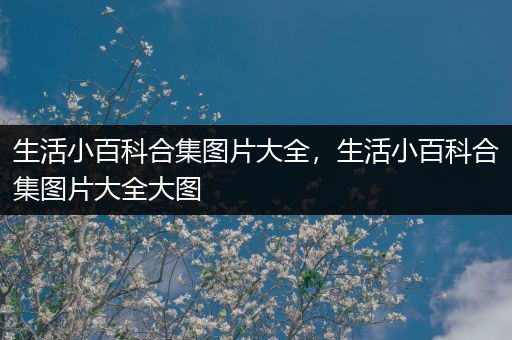 生活小百科合集图片大全，生活小百科合集图片大全大图