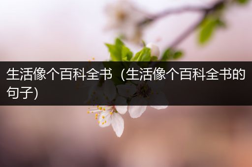 生活像个百科全书（生活像个百科全书的句子）