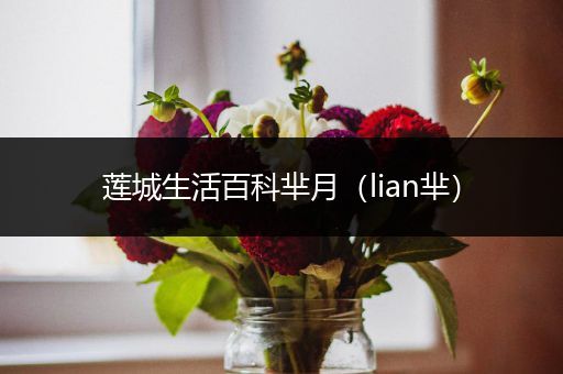 莲城生活百科芈月（lian芈）