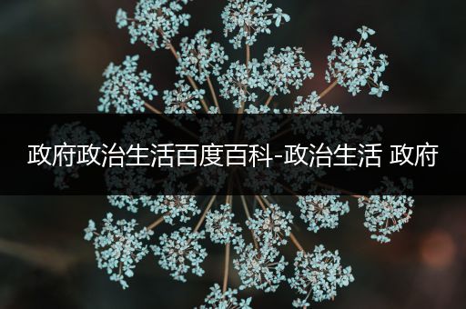 政府政治生活百度百科-政治生活 政府