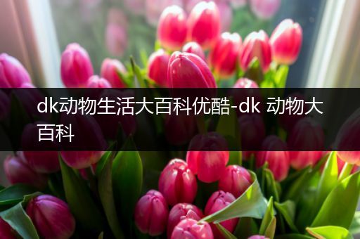 dk动物生活大百科优酷-dk 动物大百科