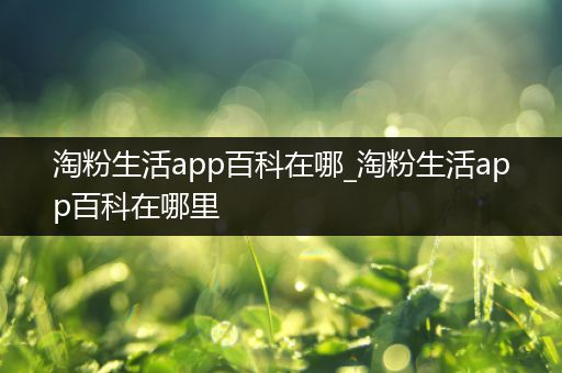 淘粉生活app百科在哪_淘粉生活app百科在哪里