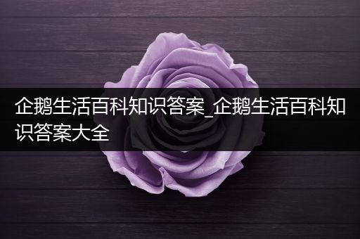 企鹅生活百科知识答案_企鹅生活百科知识答案大全