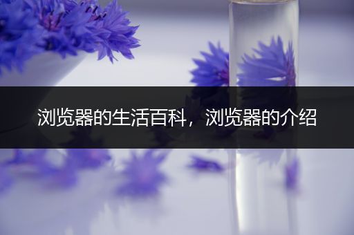 浏览器的生活百科，浏览器的介绍