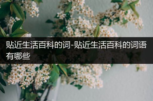 贴近生活百科的词-贴近生活百科的词语有哪些