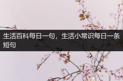 生活百科每日一句，生活小常识每日一条短句