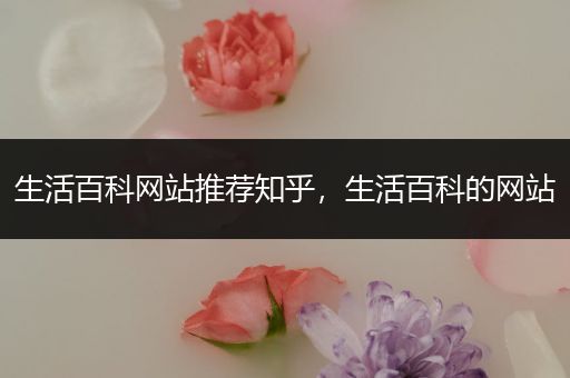 生活百科网站推荐知乎，生活百科的网站