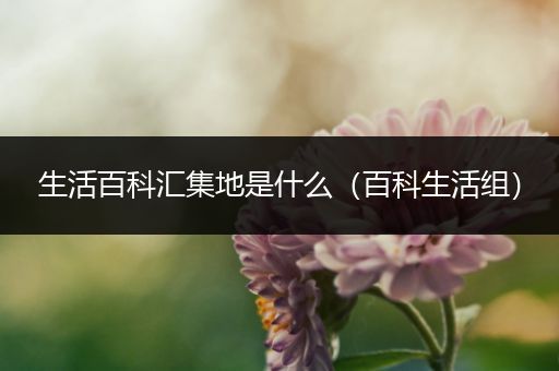 生活百科汇集地是什么（百科生活组）