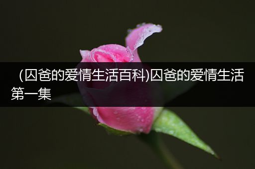 （囚爸的爱情生活百科)囚爸的爱情生活第一集