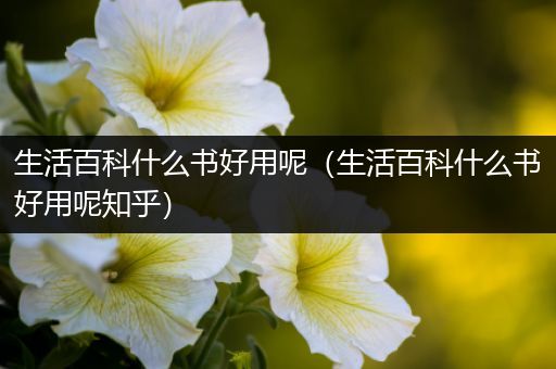 生活百科什么书好用呢（生活百科什么书好用呢知乎）