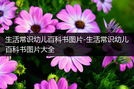 生活常识幼儿百科书图片-生活常识幼儿百科书图片大全