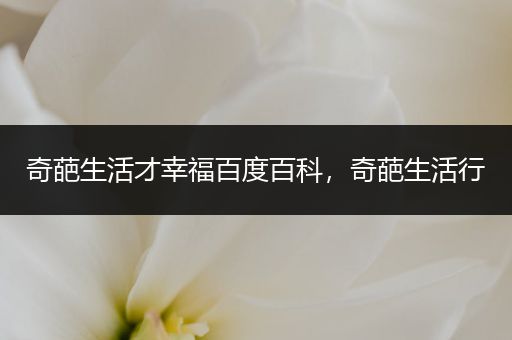 奇葩生活才幸福百度百科，奇葩生活行