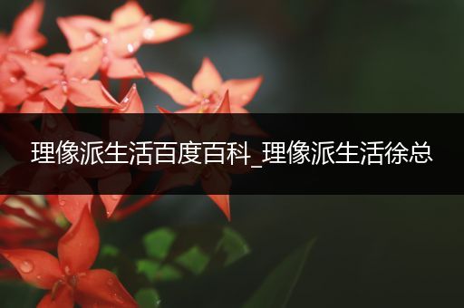 理像派生活百度百科_理像派生活徐总