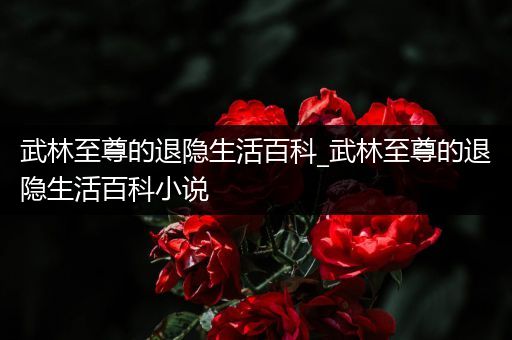 武林至尊的退隐生活百科_武林至尊的退隐生活百科小说