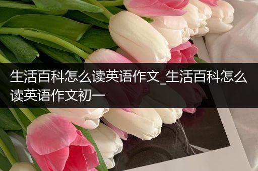 生活百科怎么读英语作文_生活百科怎么读英语作文初一