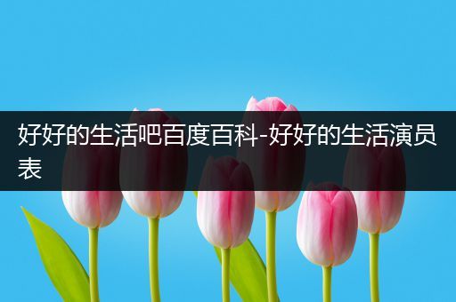 好好的生活吧百度百科-好好的生活演员表