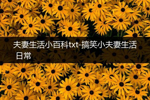 夫妻生活小百科txt-搞笑小夫妻生活 日常