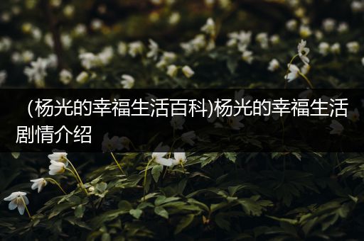 （杨光的幸福生活百科)杨光的幸福生活剧情介绍