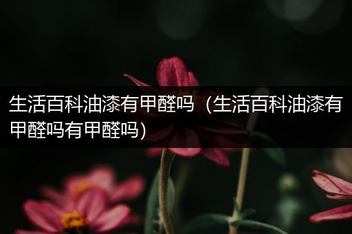 生活百科油漆有甲醛吗（生活百科油漆有甲醛吗有甲醛吗）