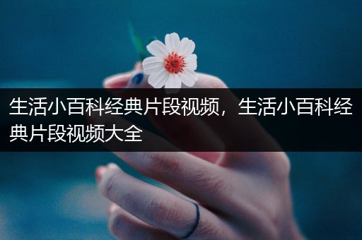 生活小百科经典片段视频，生活小百科经典片段视频大全