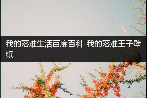 我的落难生活百度百科-我的落难王子壁纸