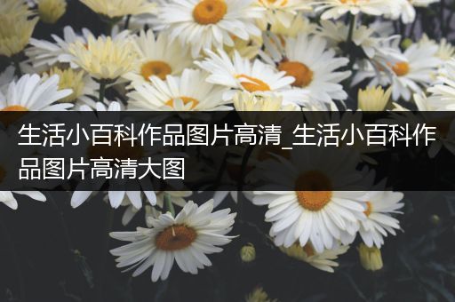 生活小百科作品图片高清_生活小百科作品图片高清大图