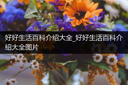 好好生活百科介绍大全_好好生活百科介绍大全图片