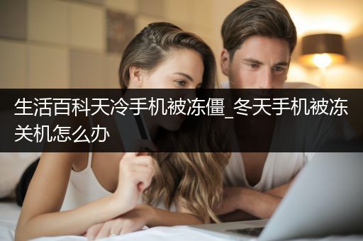 生活百科天冷手机被冻僵_冬天手机被冻关机怎么办