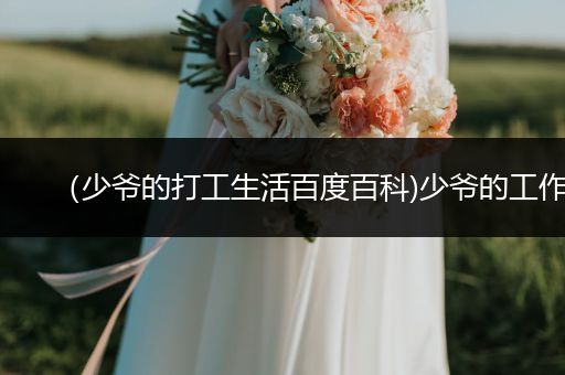 （少爷的打工生活百度百科)少爷的工作