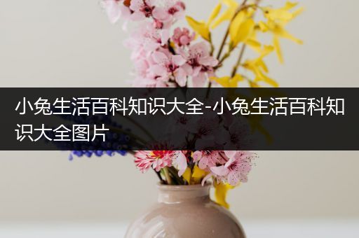 小兔生活百科知识大全-小兔生活百科知识大全图片