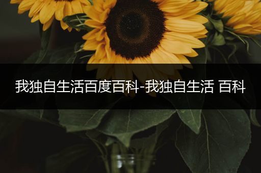 我独自生活百度百科-我独自生活 百科