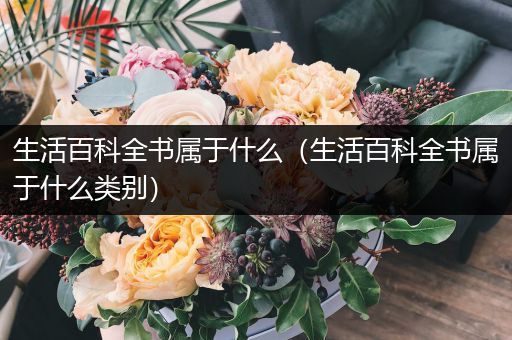 生活百科全书属于什么（生活百科全书属于什么类别）