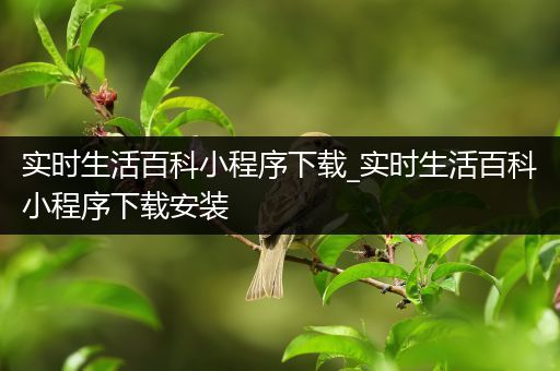 实时生活百科小程序下载_实时生活百科小程序下载安装