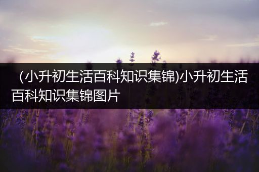 （小升初生活百科知识集锦)小升初生活百科知识集锦图片