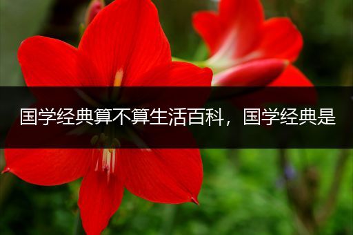 国学经典算不算生活百科，国学经典是