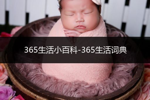 365生活小百科-365生活词典