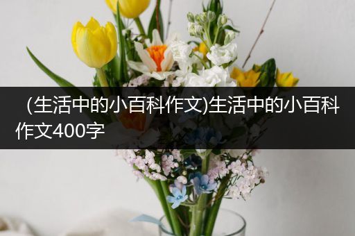 （生活中的小百科作文)生活中的小百科作文400字