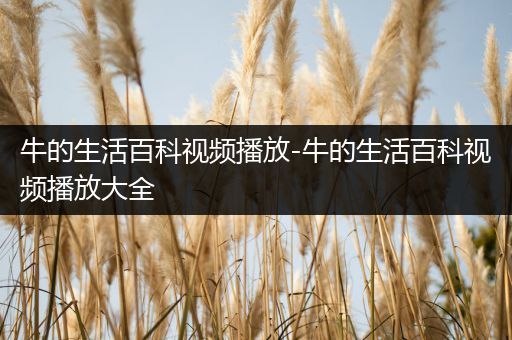 牛的生活百科视频播放-牛的生活百科视频播放大全