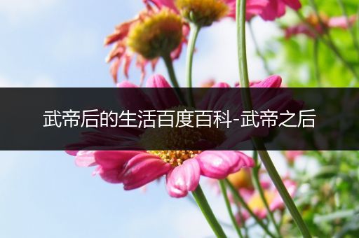 武帝后的生活百度百科-武帝之后