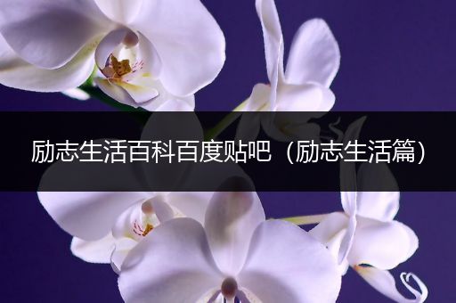 励志生活百科百度贴吧（励志生活篇）