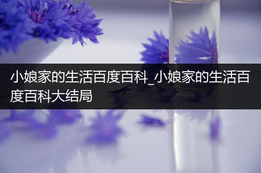 小娘家的生活百度百科_小娘家的生活百度百科大结局