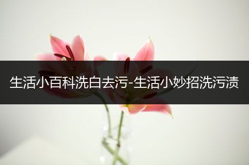 生活小百科洗白去污-生活小妙招洗污渍