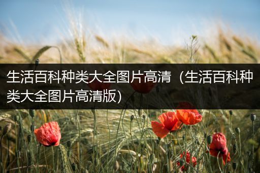 生活百科种类大全图片高清（生活百科种类大全图片高清版）