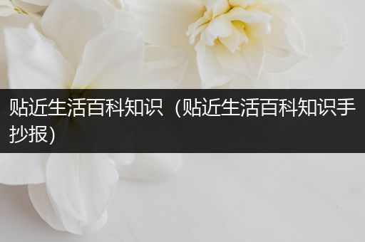 贴近生活百科知识（贴近生活百科知识手抄报）