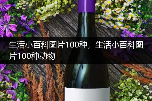 生活小百科图片100种，生活小百科图片100种动物