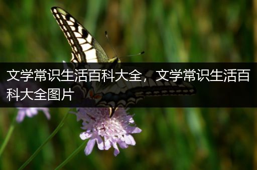 文学常识生活百科大全，文学常识生活百科大全图片