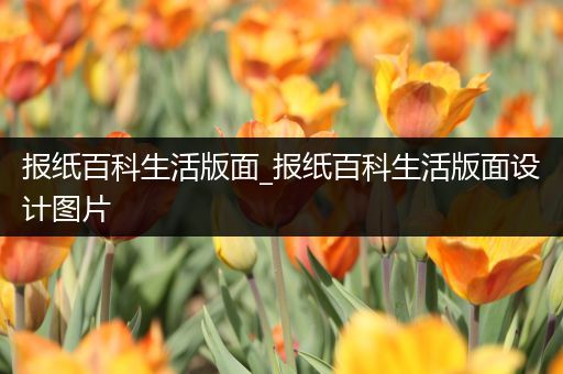 报纸百科生活版面_报纸百科生活版面设计图片