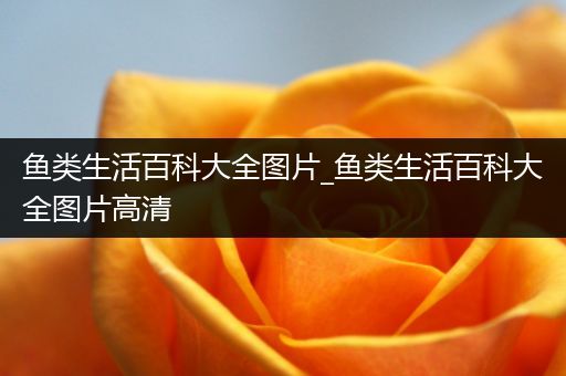 鱼类生活百科大全图片_鱼类生活百科大全图片高清